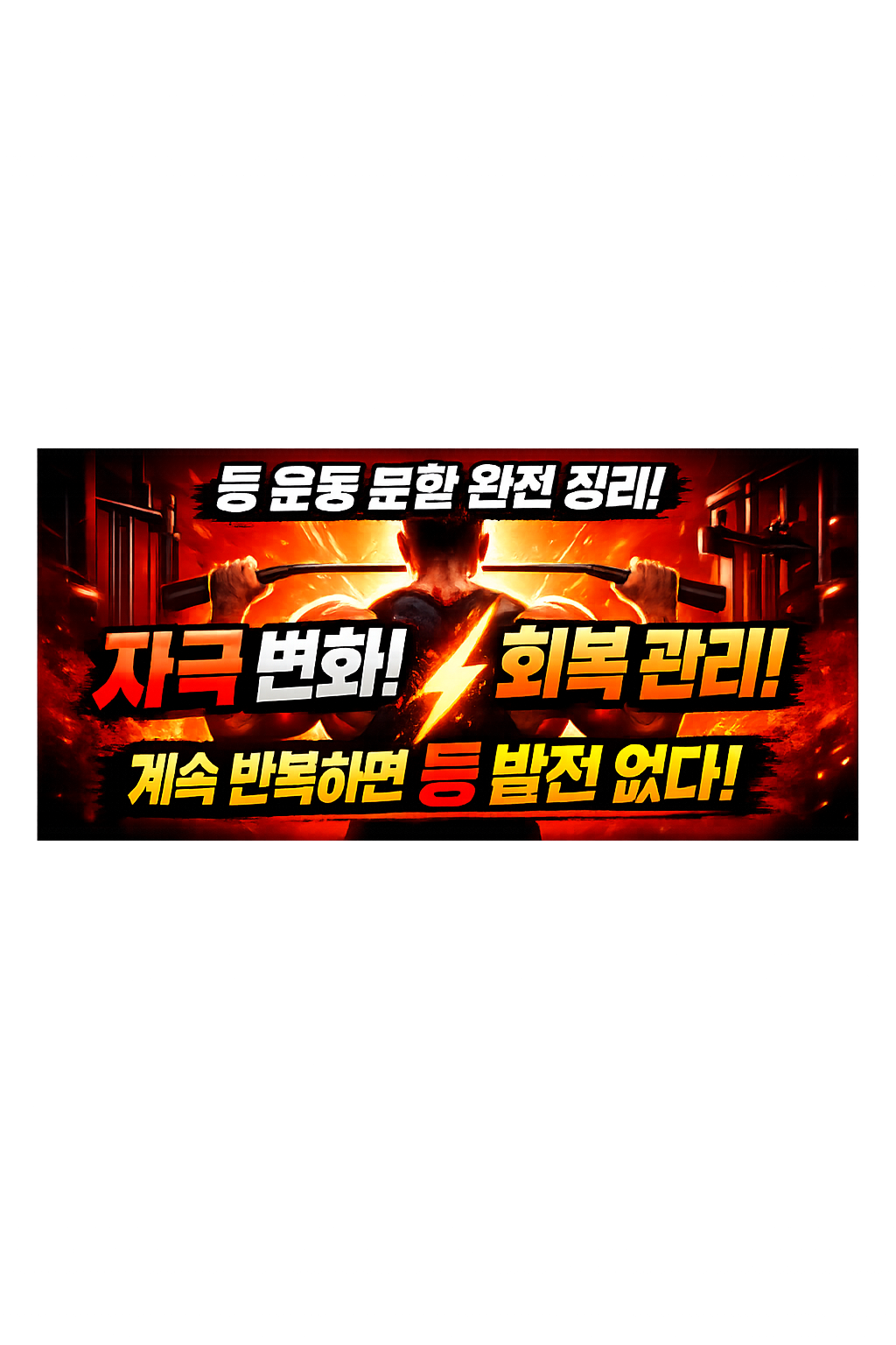 등 운동 분할 방법 완전 정리