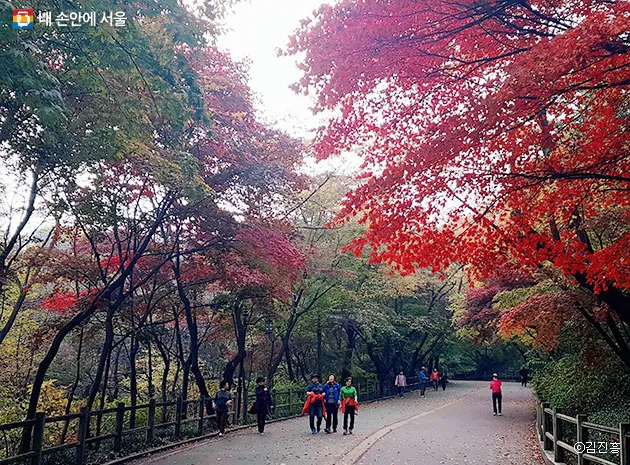 남산둘레길 코스 지도 소요시간 맛집_3