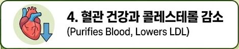 쑥 효능