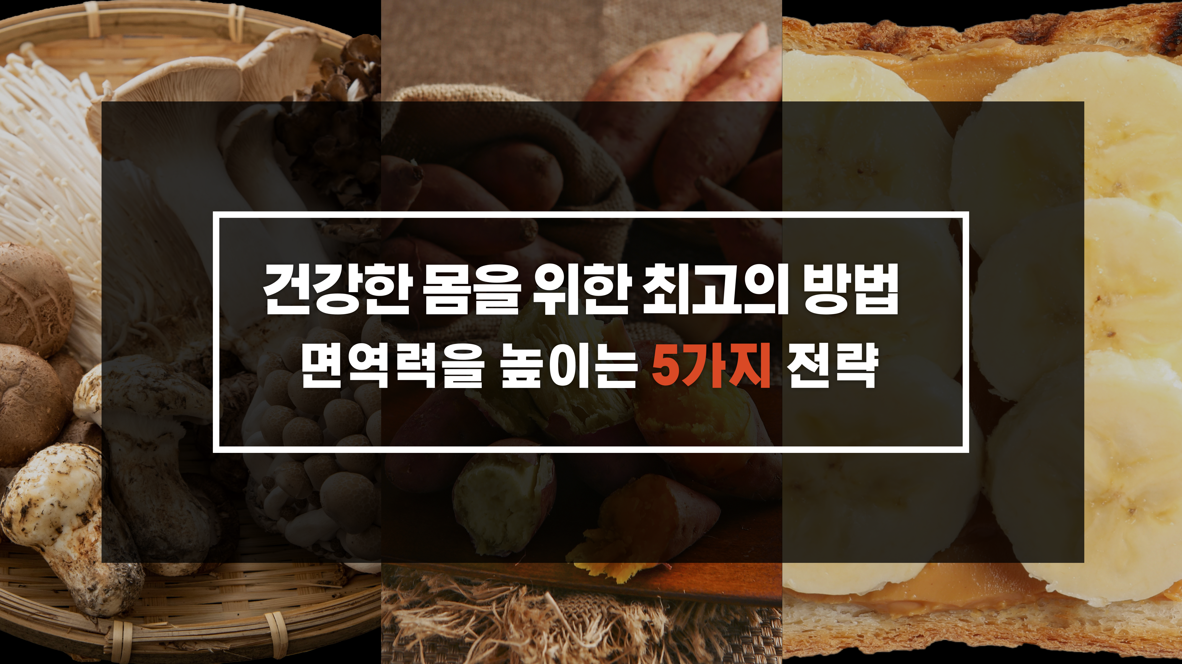 면역력을 높이는 5가지 전략