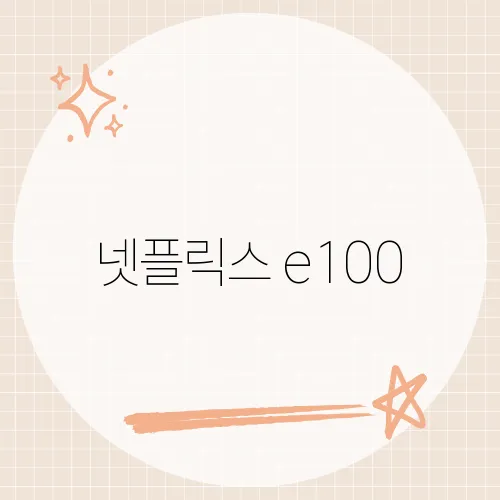 넷플릭스 e100, 갑자기 튀는 오류 해결 한방?