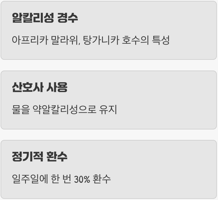 수질 관리 - 아프리카 호수를 재현하라