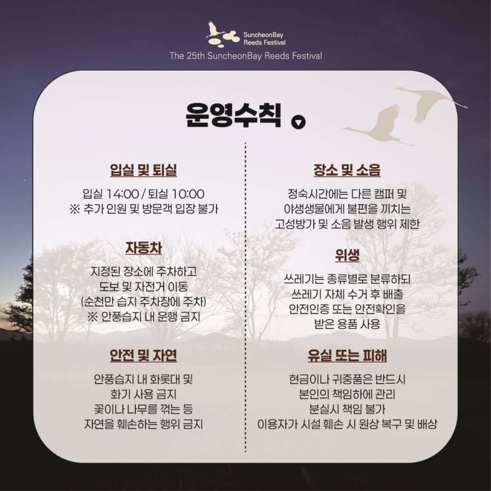 순천만 백패커의 밤 신청하기