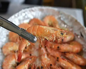 홍성 남당항 대하축제_8