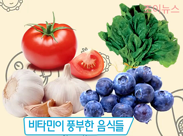 활성산소에 좋은 음식들_출처:EBS사이언스유튜브