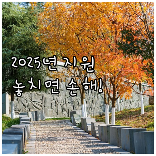 복지 사각지대 해소 2025 보험료 ..