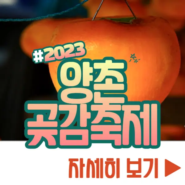양촌 곶감축제 자세히 보기