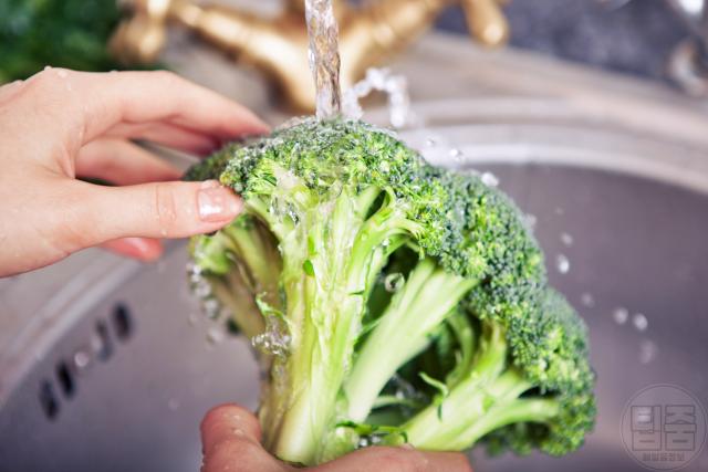 브로콜리 세척,브로콜리 씻는법,브로콜리 씻는방법,팁줌