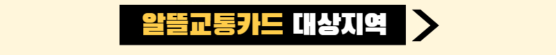 알뜰교통카드 대상지역