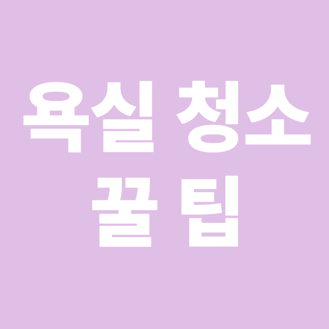 ์์ค ์ฒญ์ ๊ฟํ ๊ด๋ จ ์ด๋ฏธ์ง