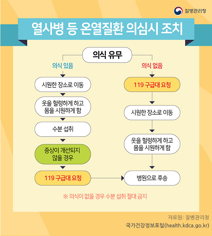 열사병 vs 열탈진? 5단계 온열질환 완전정복
