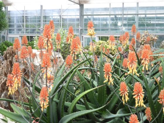 2025 함평 나비 축제 일정부터 주차·입장료까지! 꿀팁 총정리