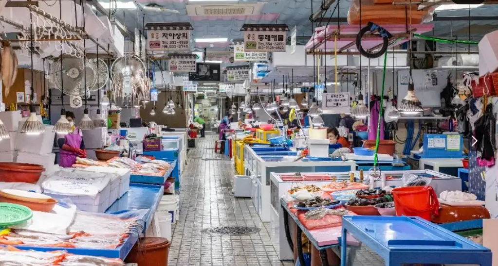 2025 부산 맥주 축제 허심청브로이 옥토버페스트 일정 사전예매 프로그램