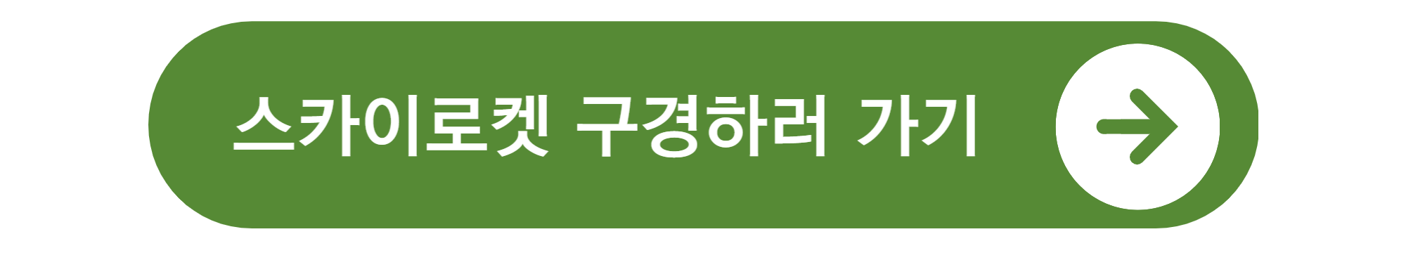 측백나무 종류와 가격