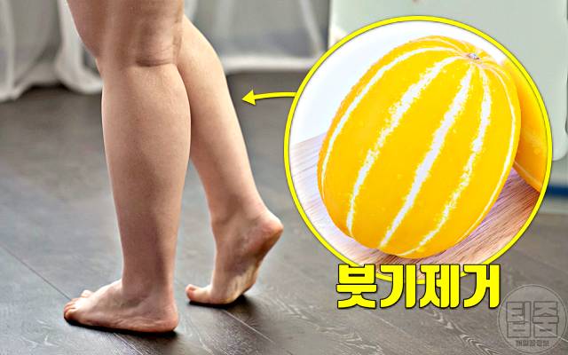 참외 효능 붓기 참외씨 참외껍질 참외꼭지 효능 참외부작용 하루섭취량