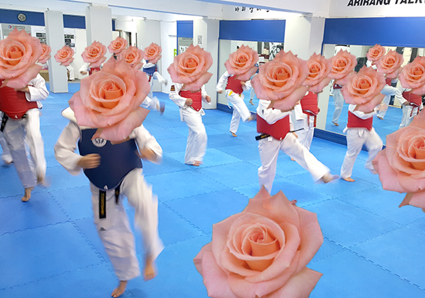 꽃보다 태권도 장미(Rose)