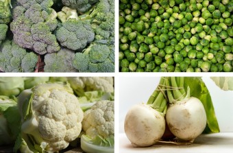 2023년 유방암에 좋은 음식 베스트 모음