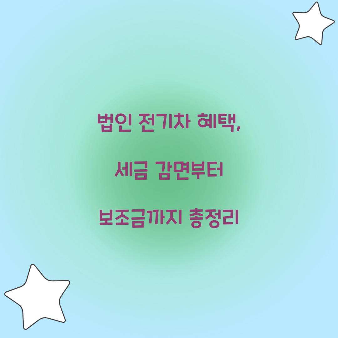 법인 전기차 혜택