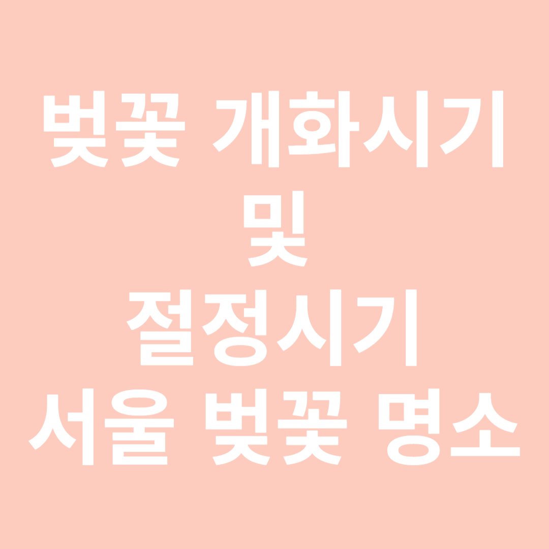 벚꽃 개화시기 및 절정시기&#44; 서울 벚꽃 명소