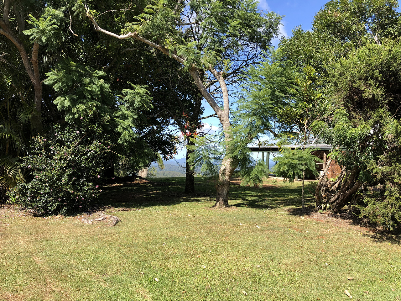 중간 뷰 포인트