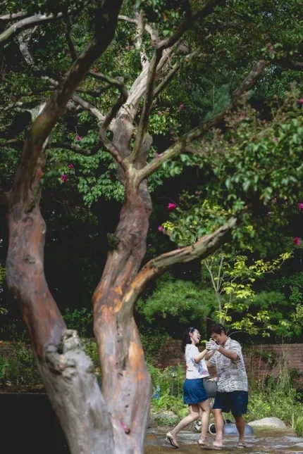 관련영화 포스터 이미지