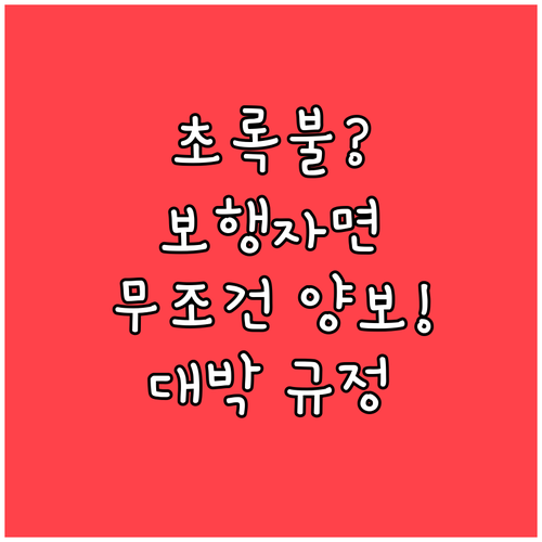 초록불 횡단보도 보행자 있으면 무조건..