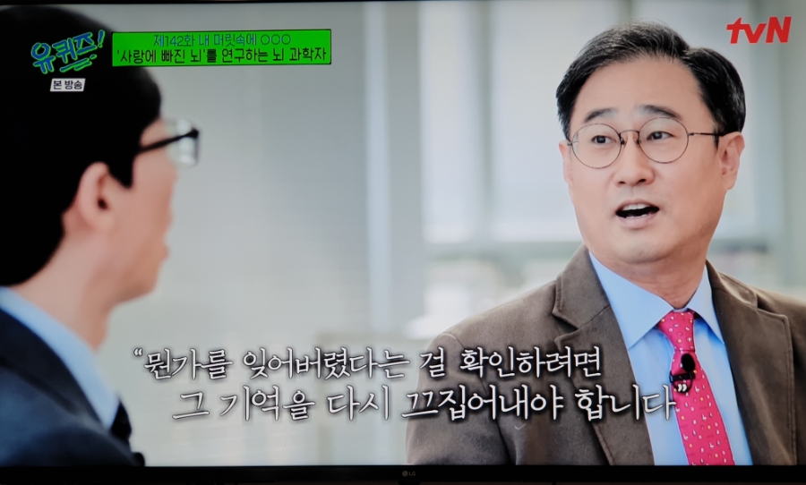 메타인지