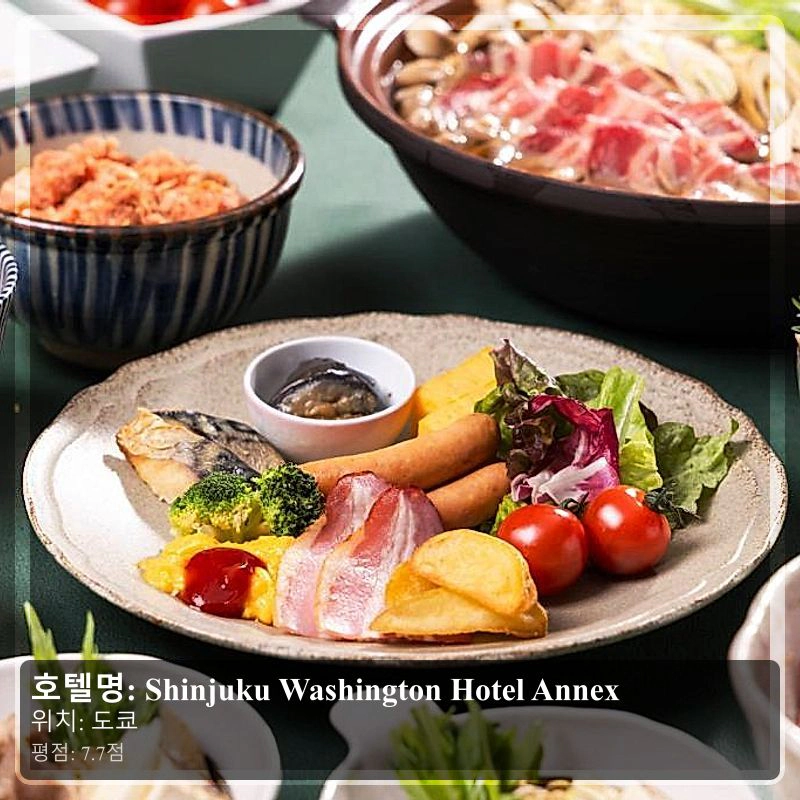 Shinjuku Washington Hotel Annex_7