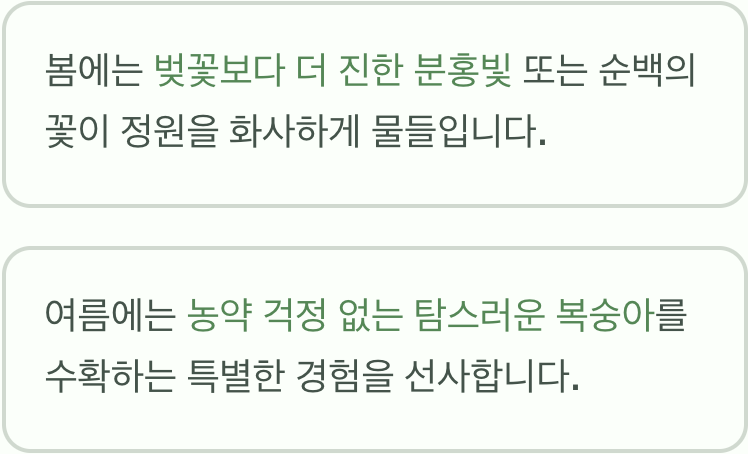 여름의 선물, 그 이상의 기쁨