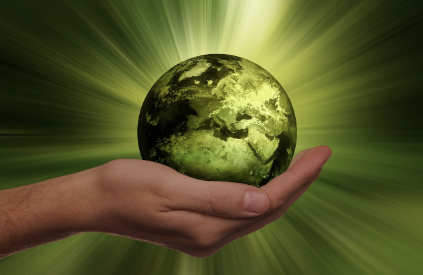 탄소중립포인트