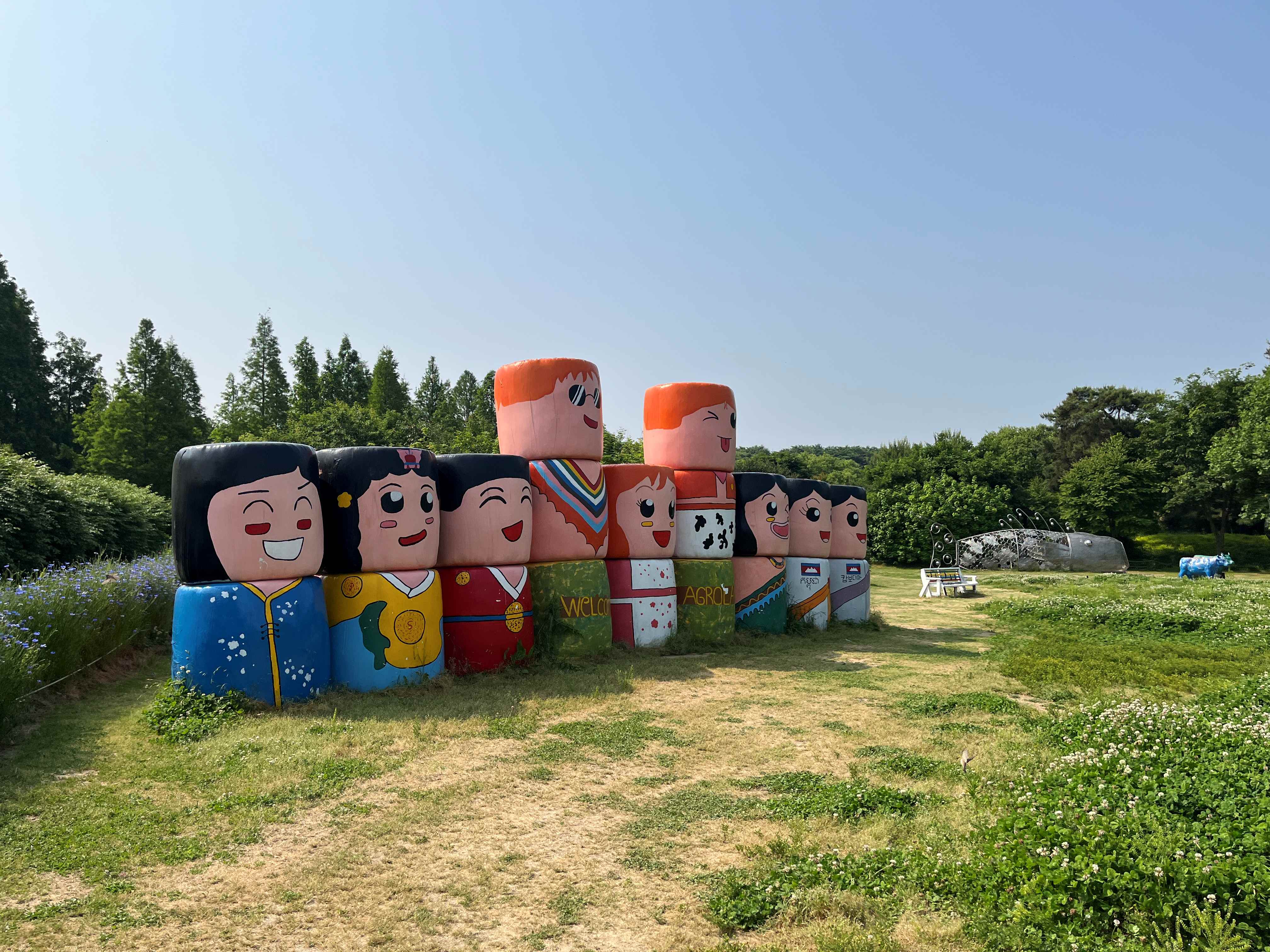 아그로랜드 수레국화