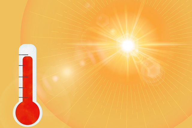 폭염의 모습