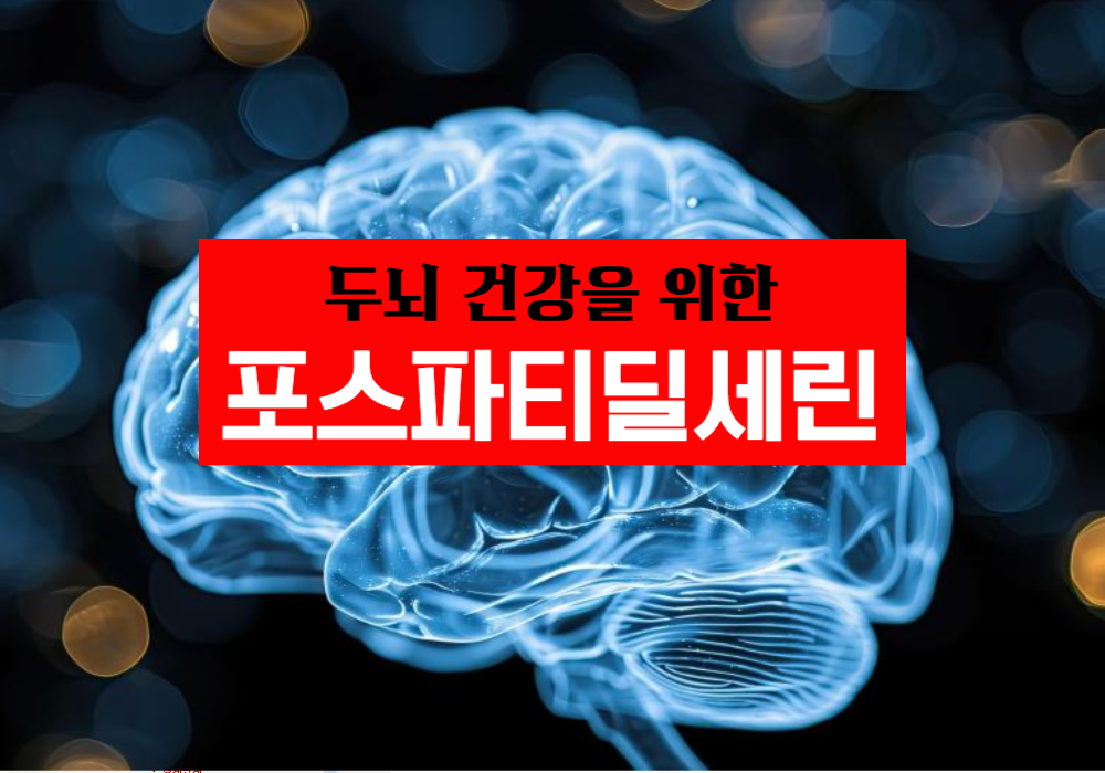 포스파티딜세린(PS)과 뇌 건강: 기억력과 인지 기능을 위한 필수 성분
