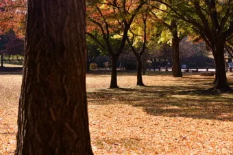 가을 경주 여행 가볼만한곳 베스트 10으로 정리_8