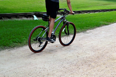 비타민-효능-종류-부족-영양제