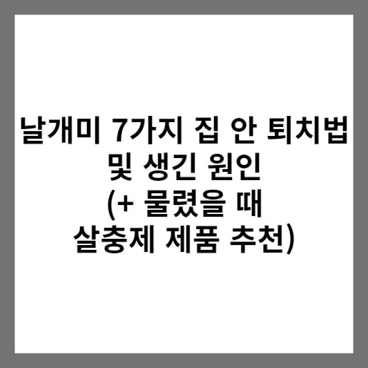 날개미 7가지 집 안 퇴치법 및 생긴 원인 (+ 물렸을 때 살충제 제품 추천)