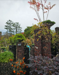 제주 한달살기 후기