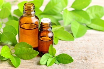 페티그레인 잎, 페티그레인 에센셜 오일