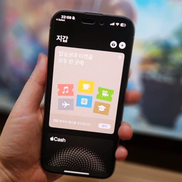 애플페이-도입-언제