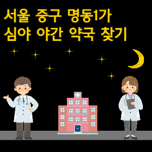 서울 중구 명동1가 심야 야간 약국 찾기