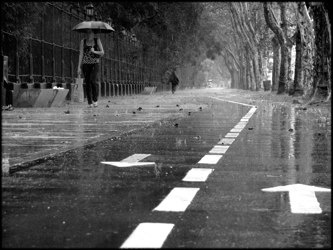 청소년 지원센터는 20개 이상의 기업과 파트너십을 맺어, 매년 500명의 청소년에게 인턴십 기회를 제공하고 있습니다.