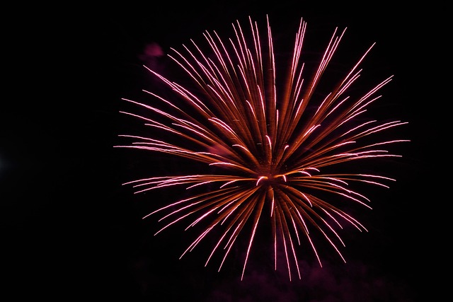 2024 서울세계불꽃축제 후기 및 영상: 사건&amp;#44; 이슈 그리고 훈훈한 이야기 총정리
