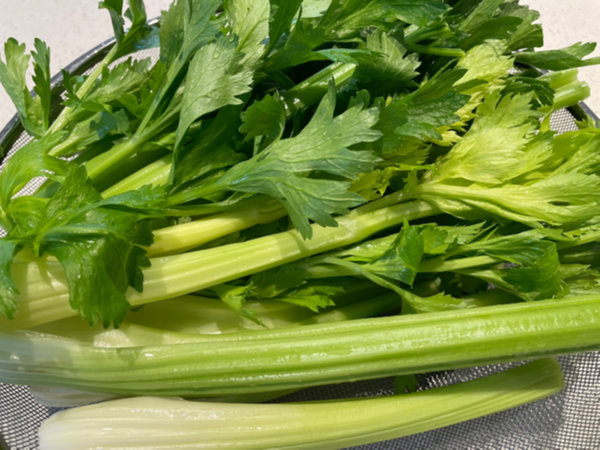 샐러리 손질 완료, 채반에서 물기 빼기