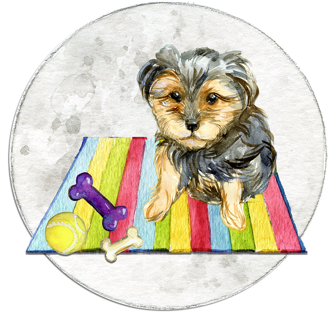 씹기 강도별 장난감 내구성 테스트