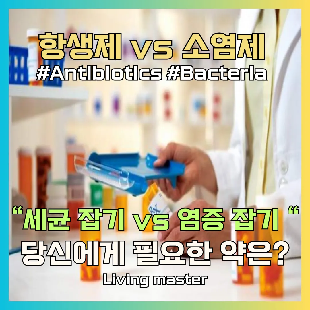 항생제와 소염제에 대해서 설명해드리겠습니다.