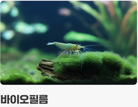 소식하는 미식가 (먹이 가이드)