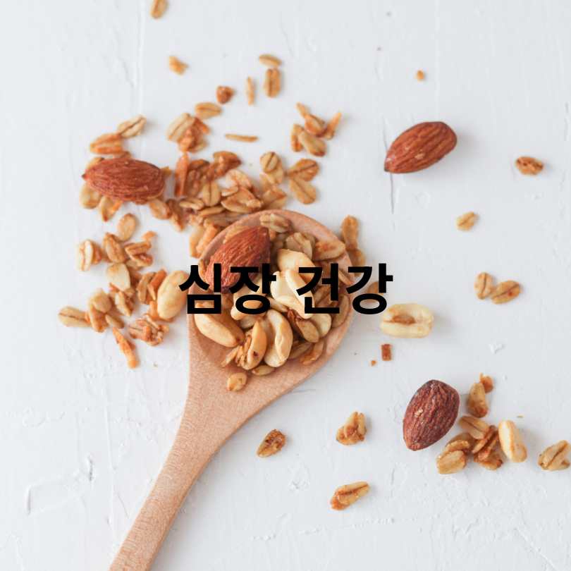 아몬드 효능과 부작용, 하루 섭취량 총정리