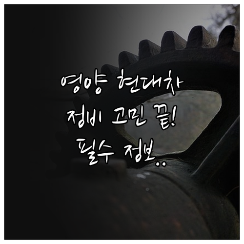 경북 영양 현대자동차 서비스센터 정비..