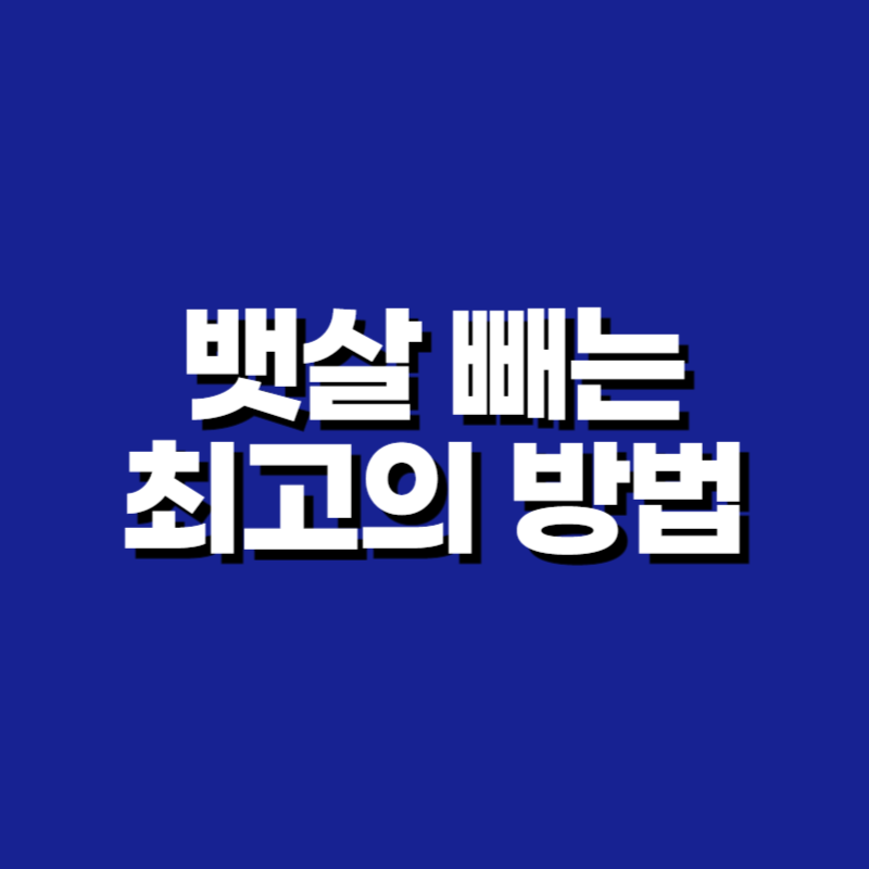 뱃살 빼는 최고의 방법