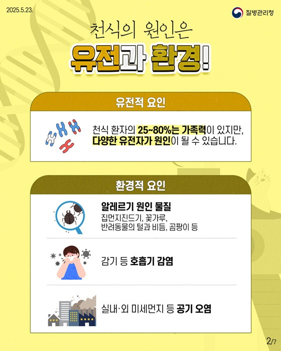 천식이란? 증상과 원인, 치료, 천식에 좋은 음식